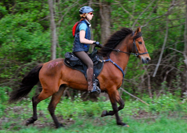 Endurance